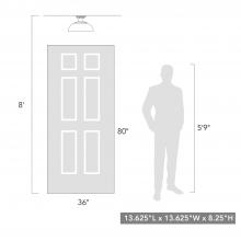 2866-OSF NB-NWT_scale.jpg